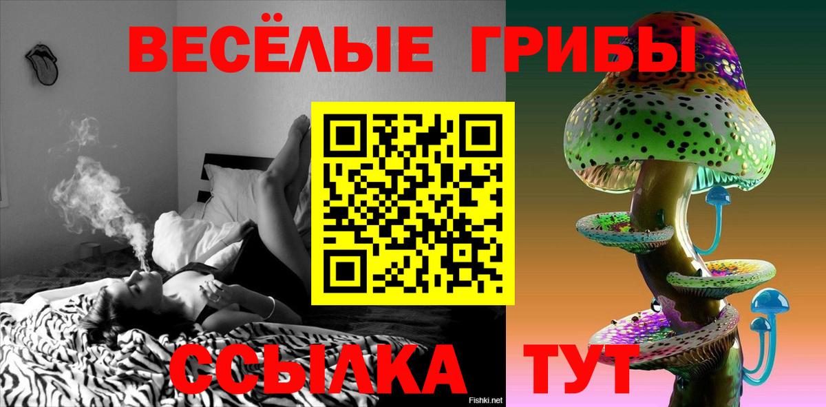Сунжа  Галлюциногенные грибы Psilocybe  наркошоп  Вход с VPN 